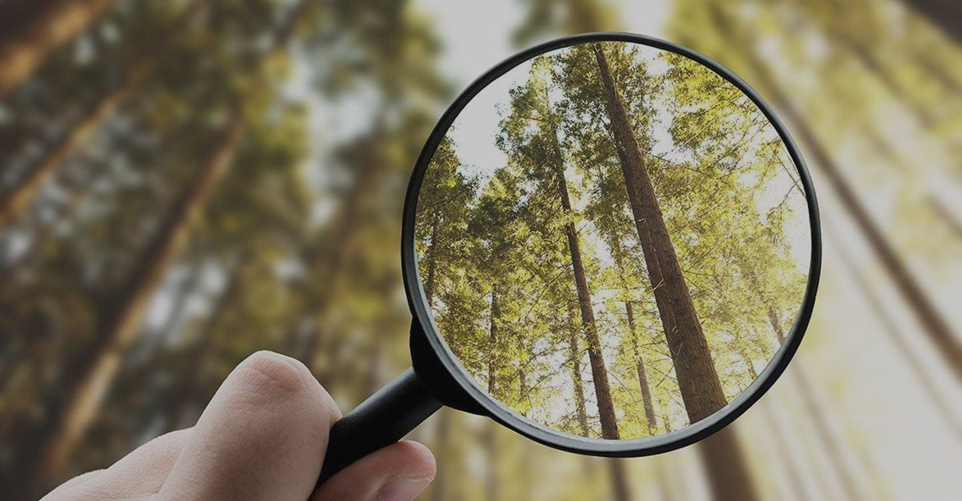 How to Audit Your Content (Without Losing Your Mind)